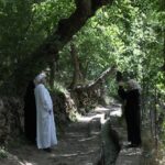 منطقة بيارة بمحافظة حلبجة شرقي إقليم کوردستان