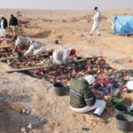 صورة أرشيفية لإحدى المقابر الجماعية لضحايا عمليات الأنفال