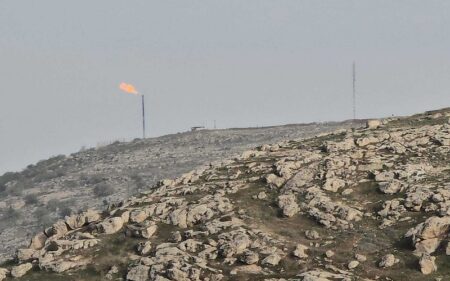صورة أرشيفية لحقل سرسنك في إقليم كوردستان