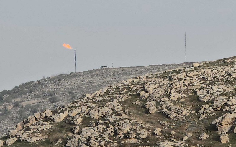 صورة أرشيفية لحقل سرسنك في إقليم كوردستان