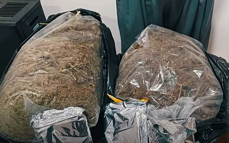 ضبط مادة الماريجوانا المخدرة بمحافظة كركوك شمالي العراق
