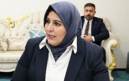 مديرة الهيئة العامة لمراقبة تخصيص الواردات الاتحادية في العراق سوزان عبد الله محمد