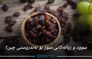 سوود و زیانەکانی مێوژ بۆ تەندروستی