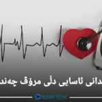 لێدانی دڵی ئاسایی مرۆڤ چەندە