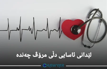 لێدانی دڵی ئاسایی مرۆڤ چەندە