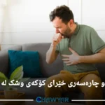 چارەسەری خێرای کۆکەی وشک لە ماڵەوە