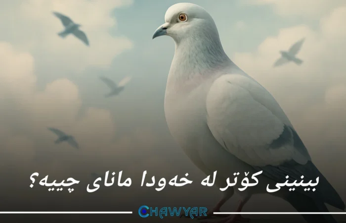 بینینی کۆتر لە خەودا