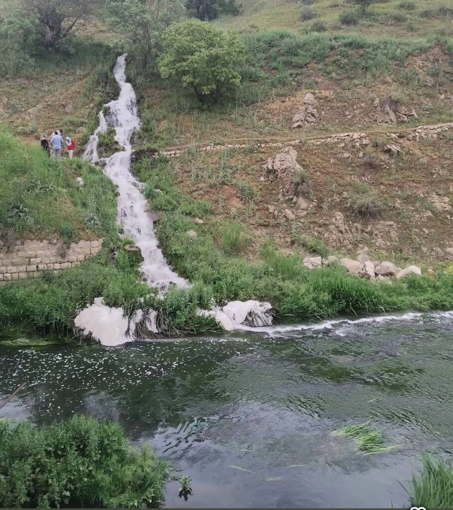تاڤگەی دزڵی