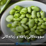 سوودەکانی پاقلە
