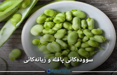 سوودەکانی پاقلە