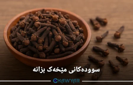 سوودەکانی مێخەک