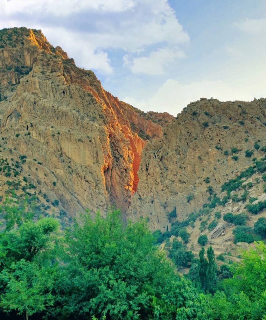 سروشتی شاخاوی گوندی سەرتەکی بەمۆ