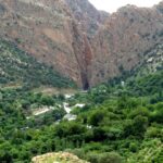 گوندی سەرتەکی بەمۆ