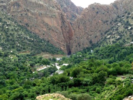 گوندی سەرتەکی بەمۆ