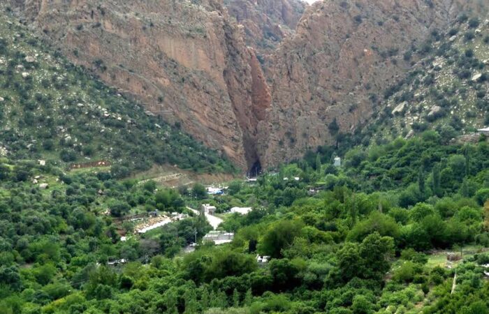 گوندی سەرتەکی بەمۆ