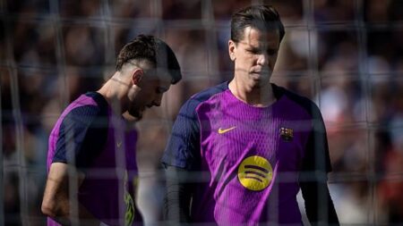 گۆڵپارێزی بەرشەلۆنە