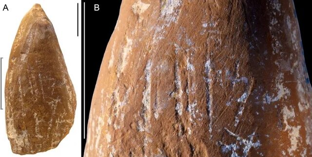 قەڵەمی ئۆخر. سەردەمی نیاندەرتاڵەکان