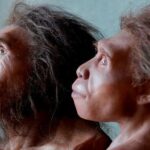 نیاندەرتاڵەکان