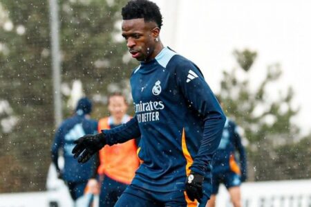 ڤینیسیۆس جونیۆر