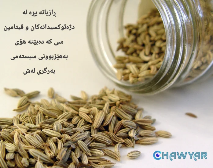 ڕازیانە بۆ سیستەمی بەرگری لەش