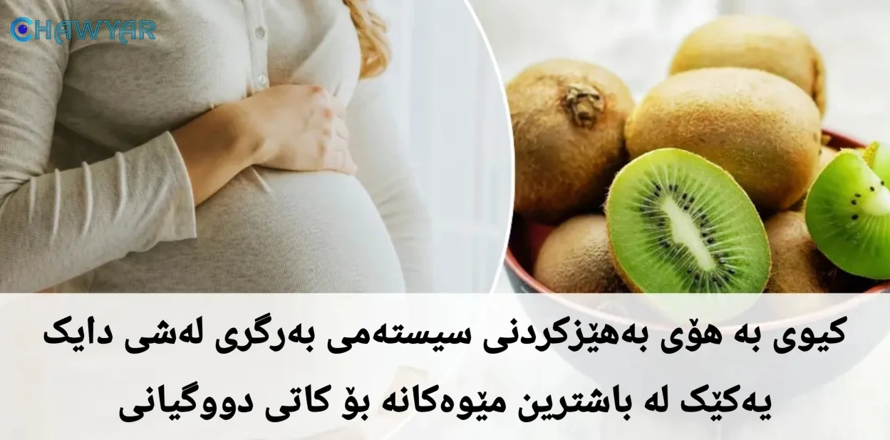 کیوی لە کاتی دووگیانیدا