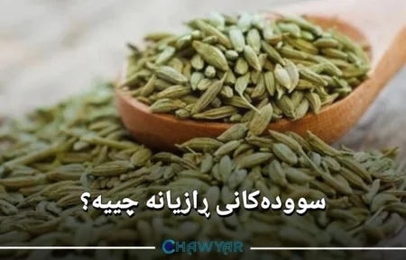 سوودەکانی ڕازیانە چییە