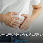 چارەسەری ئازاری گورچیلە و هۆکارەکانی سەرهەڵدانی