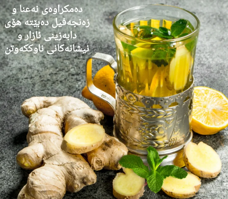 دەمکراوە بۆ چاککردنەوەی دەستبەجێ ناوککەوتن