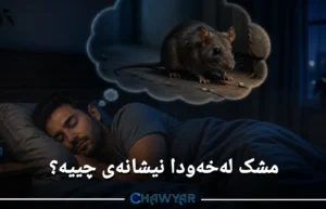 بینینی مشک لە خەودا