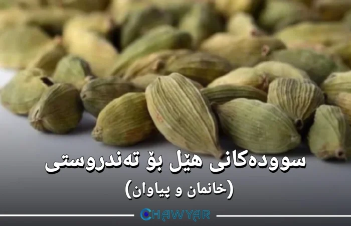 سوودەکانی هێل بۆ تەندروستی