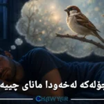 بینینی چۆلەکە لەخەودا