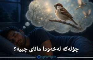 بینینی چۆلەکە لەخەودا
