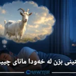 بینینی بزن لە خەودا