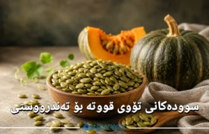 سوودەکانی تۆوی قووتە بۆ تەندرووستی