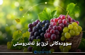 سوودەکانی ترێ بۆ تەندروستی