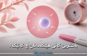 باشترین کاتی هێلکەدانان