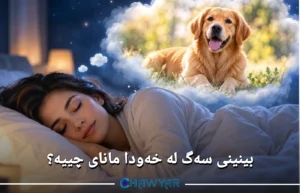 بینینی سەگ لە خەودا