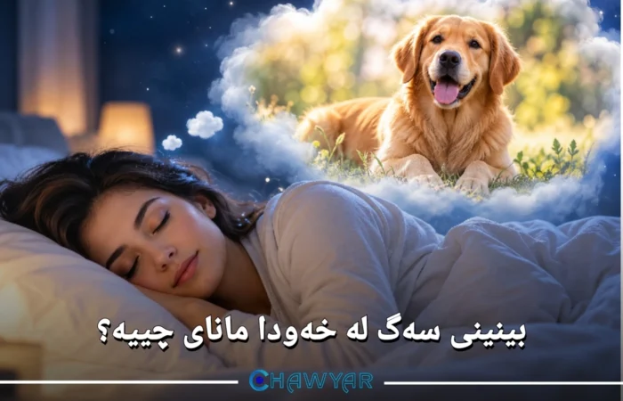 بینینی سەگ لە خەودا