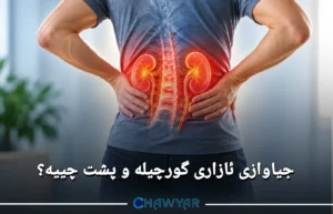 جیاوازی ئازاری گورچیلە و پشت
