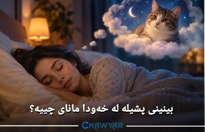 بینینی پشیلە لە خەودا